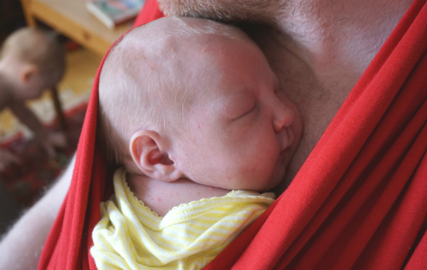 Bära en nyfödd bebis i bärsjal. Bebis vilar hos pappa, i bärsjal.