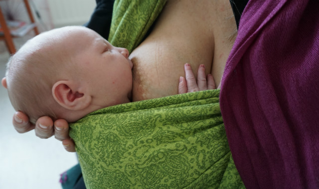 Nyfödd sväljer bröstmjölk. Amning i bärsjal.