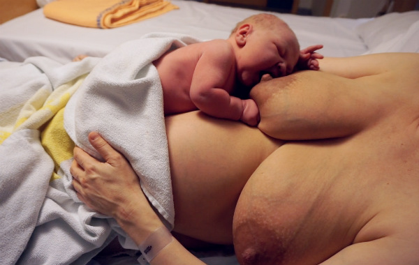 Stressen i förlossningsvården, amning. Nyfödd bebis kravlar på mammans bröst, BB-säng.
