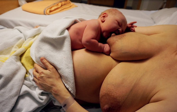 När du snart ska börja amma, magiska timmen. Nyfödd bebis gapar efter bröstet på mammans mage på BB.