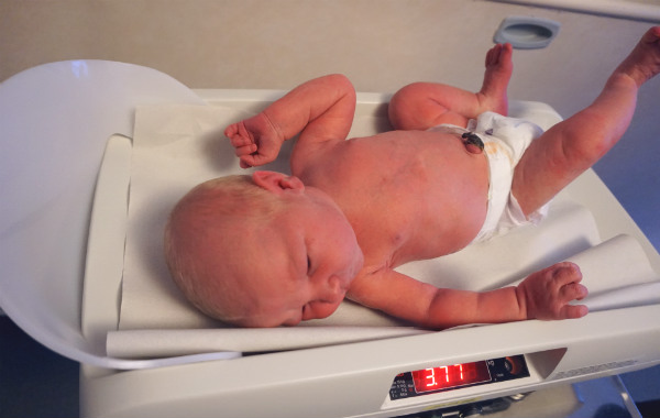 Amningsvänlig tilläggsmatning. Vägning av nyfödd bebis på sjukhusvåg.