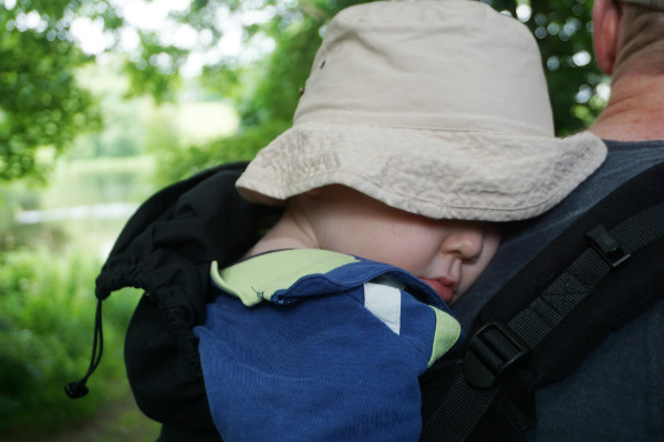 Bära barn på ryggen, barn har somnat i bärsele på pappans rygg, utomhus, sommar.