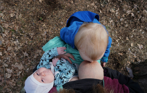 Amningsdagbok del fyra. Tvååring ammar i skogen. Bebis i knät på mamman.