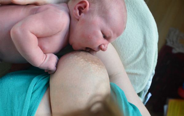 Stressen i förlossningsvården, amning. Bebis tar bröstet vid amning.