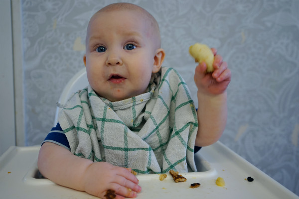 Matintroduktion, BLW. Bebis äter en bit banan, sitter i matstol i kök.