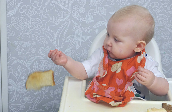 Matintroduktion, BLW. Bebis kastar rostat bröd på golvet, från sin stol i köket.